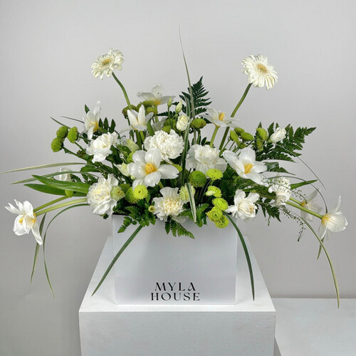 تناغم نقي - رقم 2256