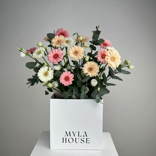 بريق الجربيرا - رقم 2308