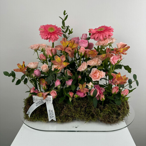 لمسة بهجة - رقم 2261