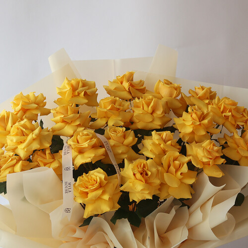 أصفر ملكي - رقم 3098