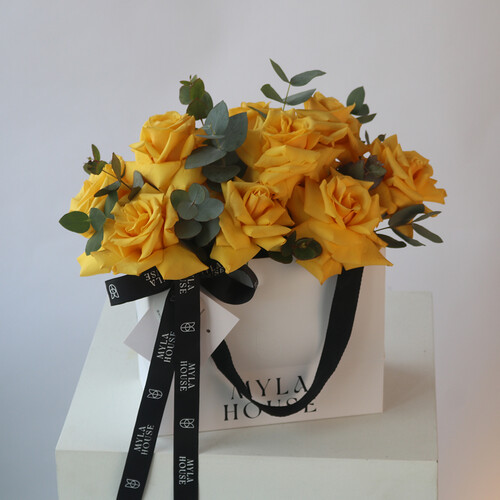 سحابة صفراء - رقم 3101