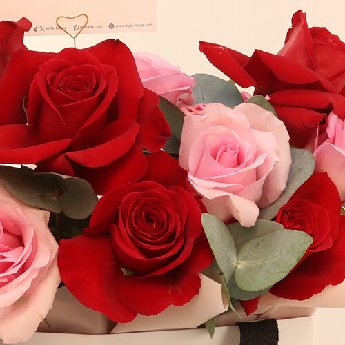 ألوان الكرز - رقم 3108