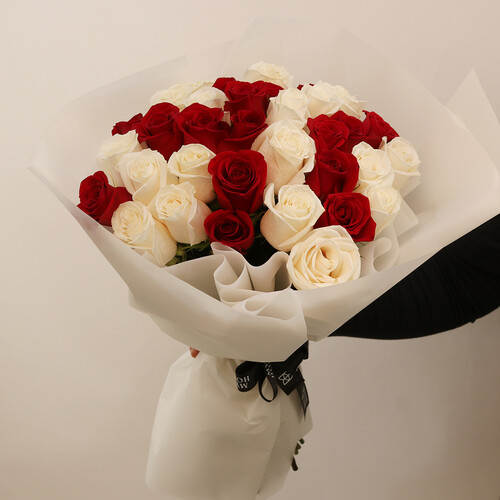 كلاسيك مختلط - رقم 3109