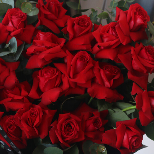 أحمر ملكي - رقم 3110