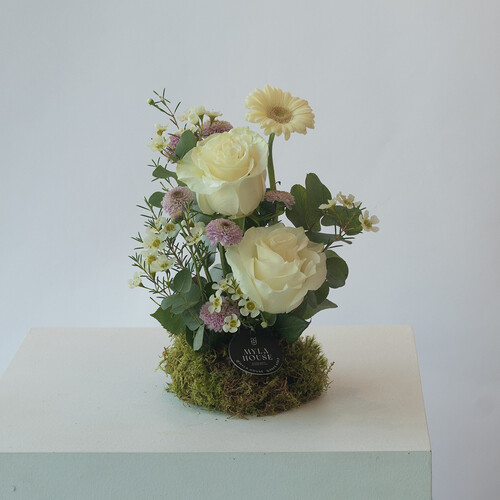 روح الجوري ميني - رقم 3130