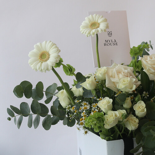 نغمة طبيعية - رقم 3138