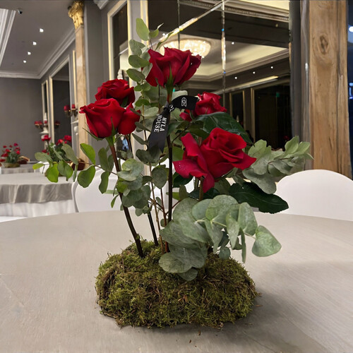 أقواس تخرج أنيقة بالورد الأحمر - رقم 2075