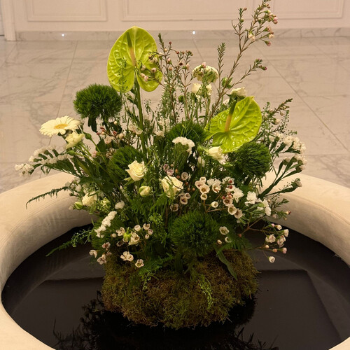 تناغم أخضر - رقم 2113