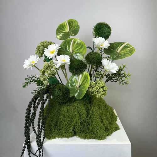 ظلال خضراء - رقم 3174