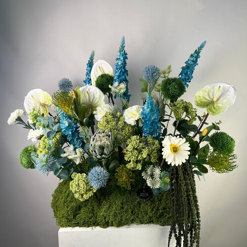 تنسيق باللون الأخضر والأزرق - رقم 3189