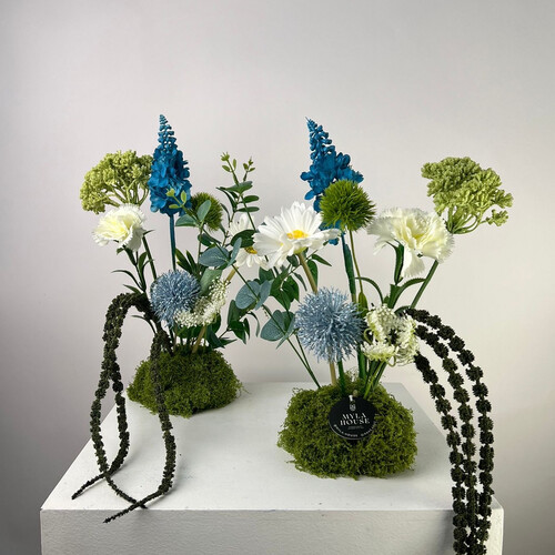 نسمة هادئة - رقم 3179