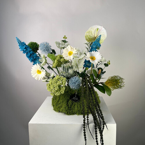 الغابة الزرقاء - رقم 3178