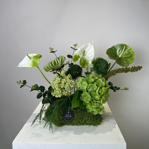 روح الحديقة - رقم 3176