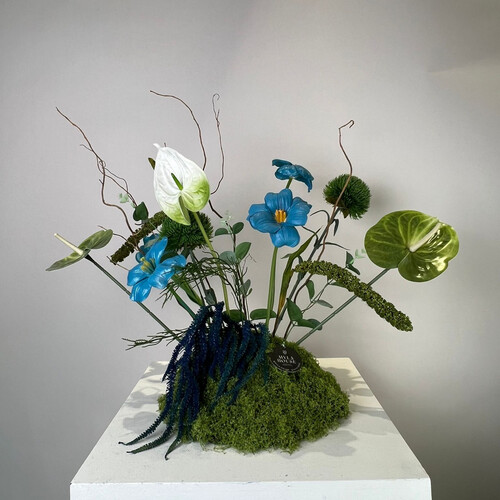 حديقة زرقاء - رقم 3177