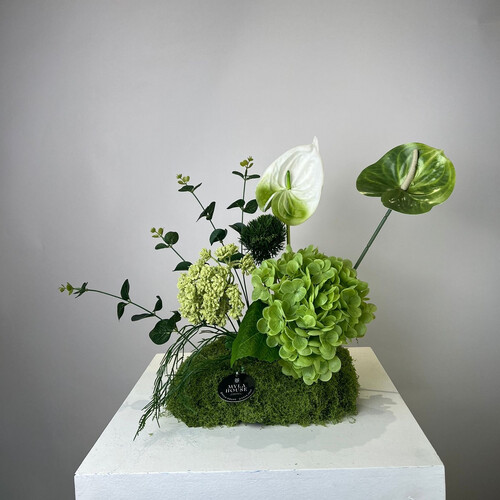 طبيعة هادئة - رقم 3175