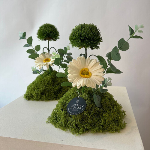 حديقة صغيرة - رقم 3180