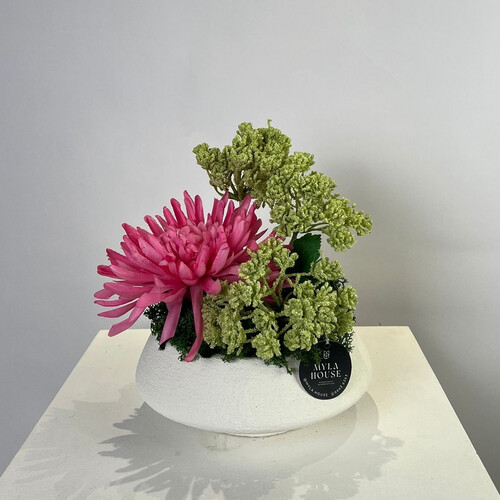 لمسة ناعمة - رقم 3128