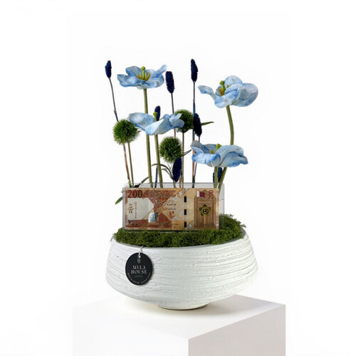 توليب أزرق - رقم 3167