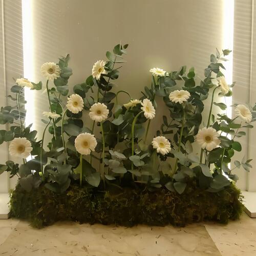 همس الطبيعة - رقم 2069