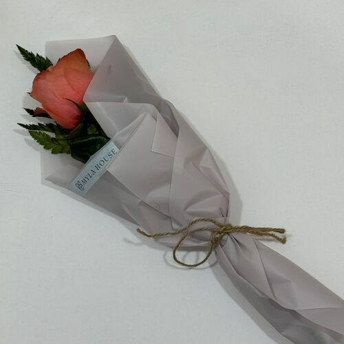 رسالة خوخية - رقم 2138