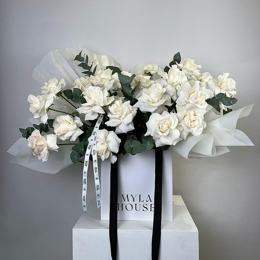 نسمة حرير - رقم 3079