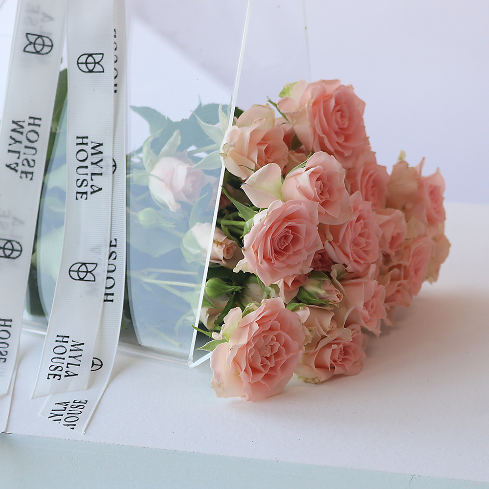 شروق هادئ - رقم 3151