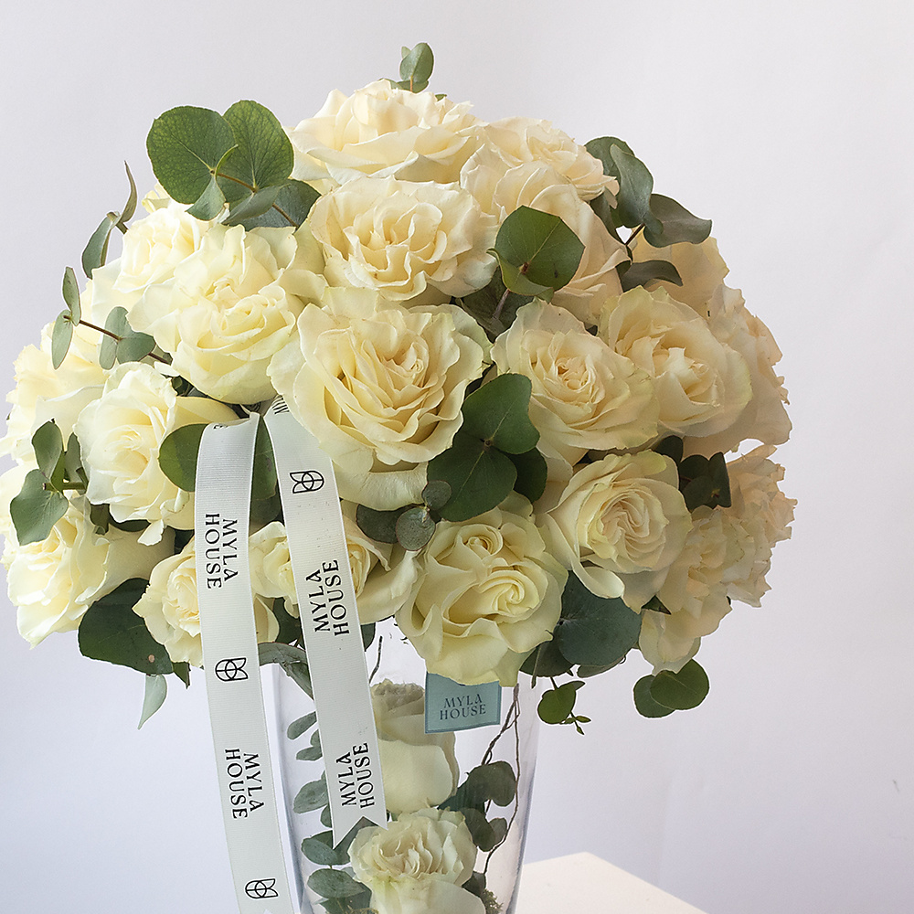 بياض هادئ - رقم 3164