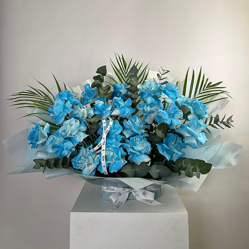 أزرق أنيق - رقم 3172