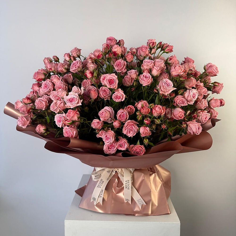 رقة مغلّفة - رقم 3206