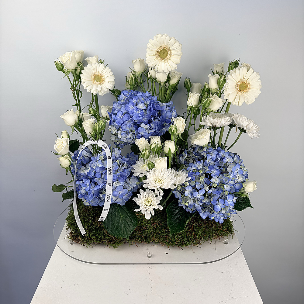 نسيم الهيدرانجيا - رقم 3219