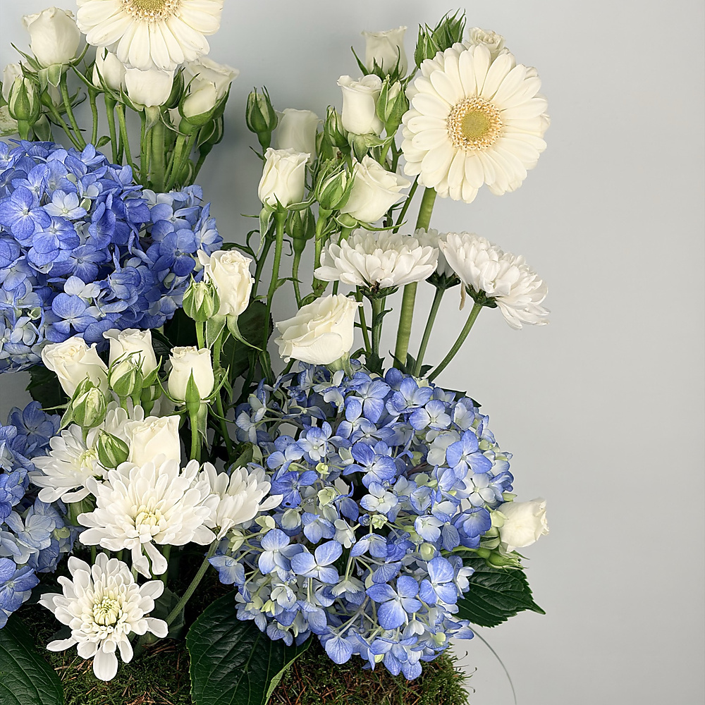 نسيم الهيدرانجيا - رقم 3219