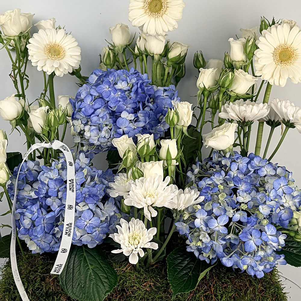 نسيم الهيدرانجيا - رقم 3219