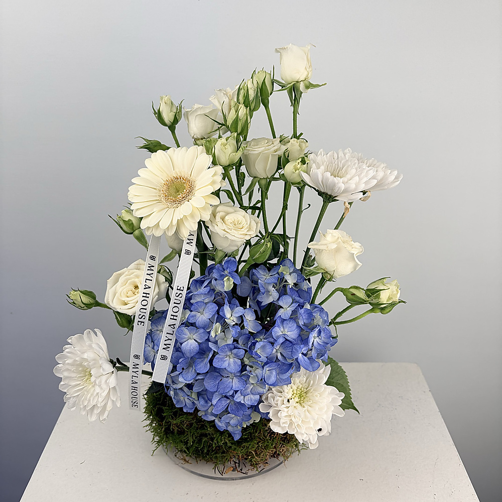 لمسة هيدرانجيا - رقم 3220