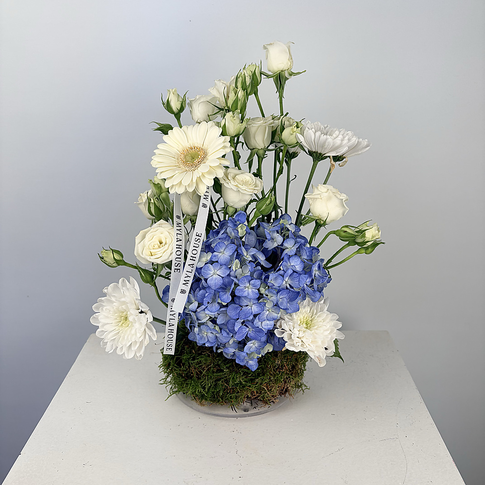 لمسة هيدرانجيا - رقم 3220