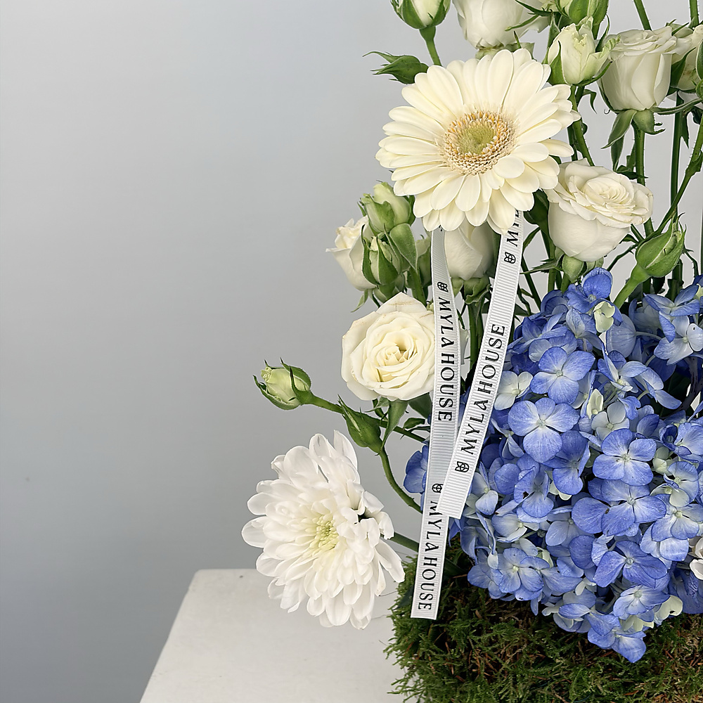 لمسة هيدرانجيا - رقم 3220