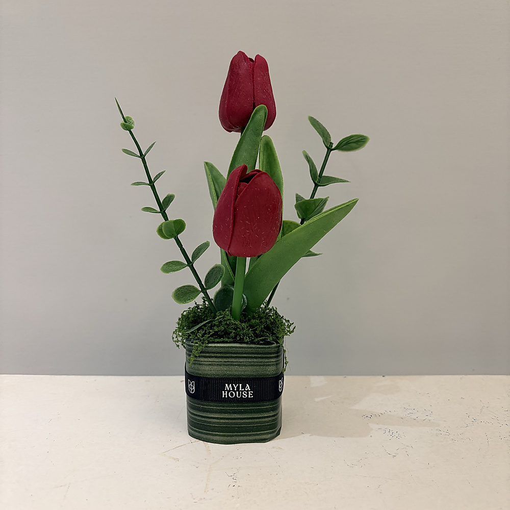 تنسيق التوليب العنابي - رقم 3242