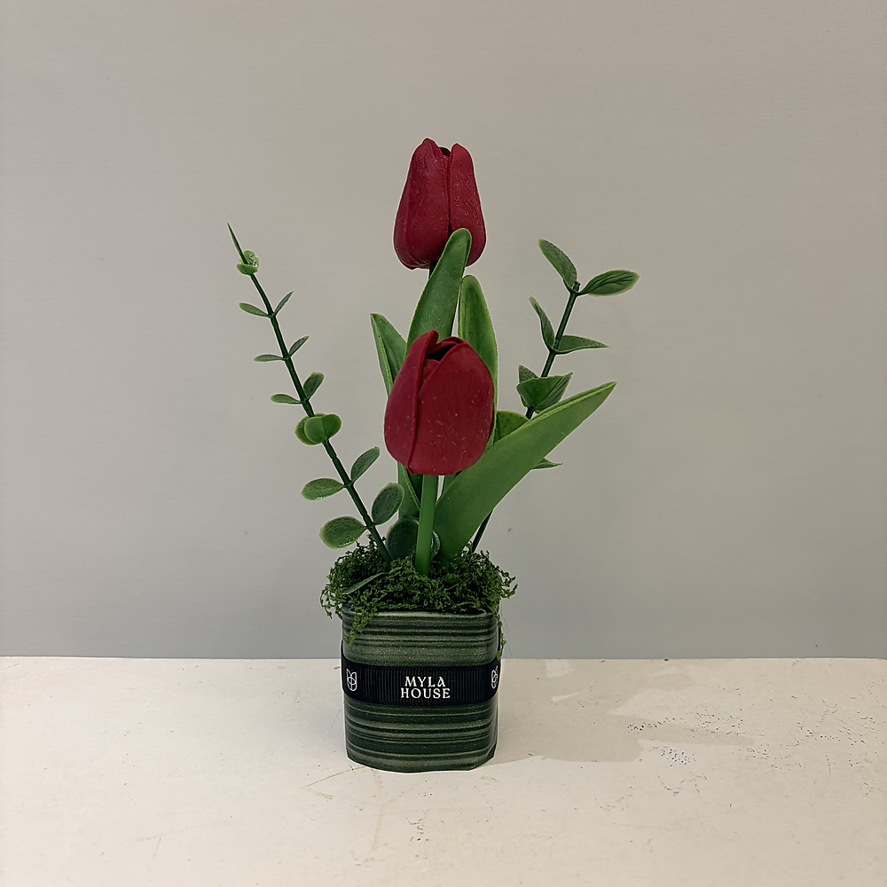 تنسيق التوليب العنابي - رقم 3242