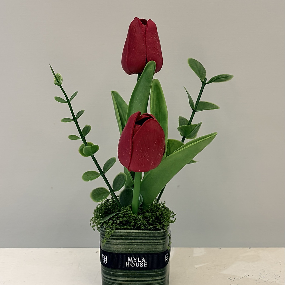 تنسيق التوليب العنابي - رقم 3242