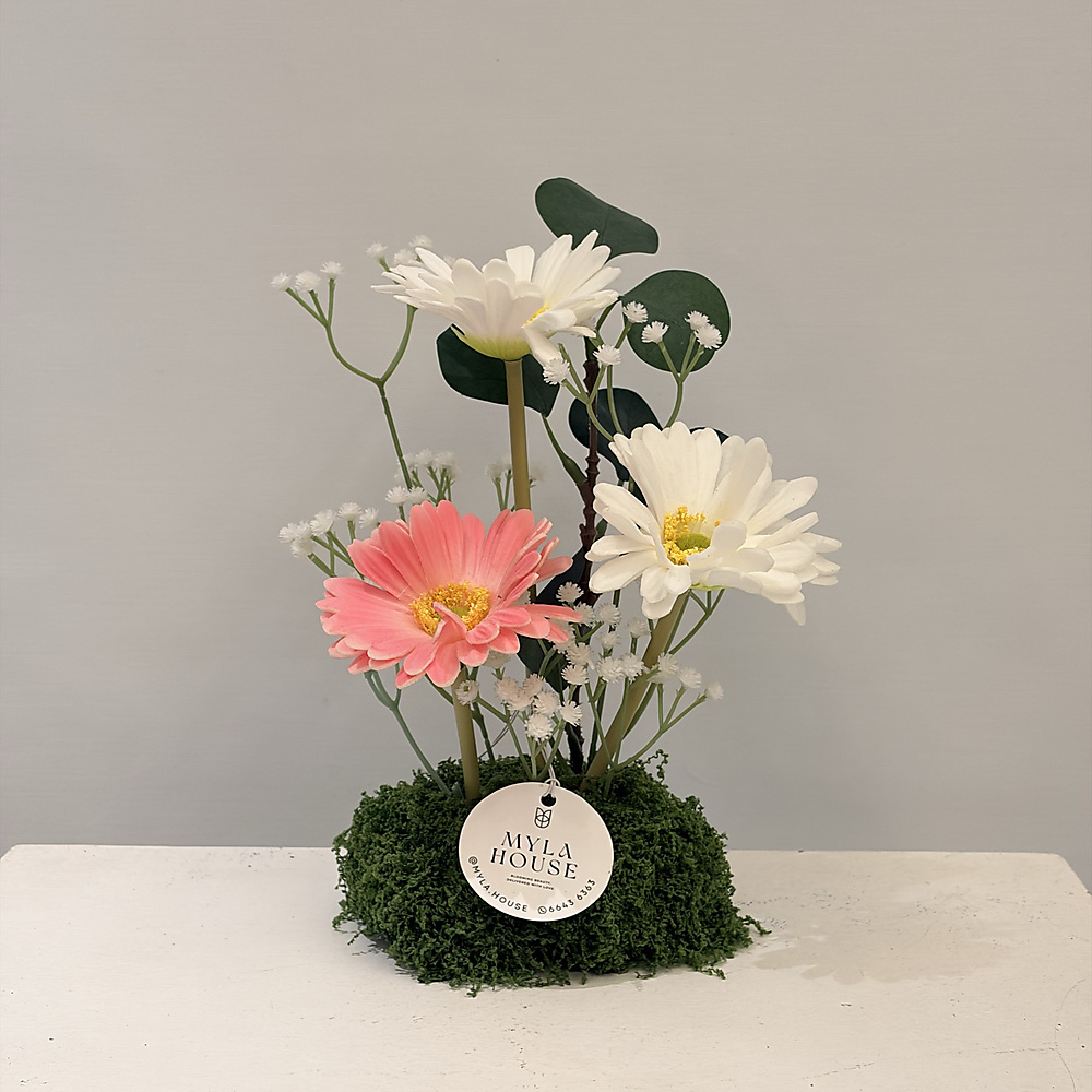 تنسيق جيربرا أبيض ووردي - رقم 3243