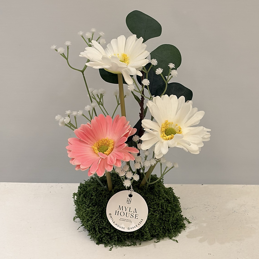 تنسيق جيربرا أبيض ووردي - رقم 3243