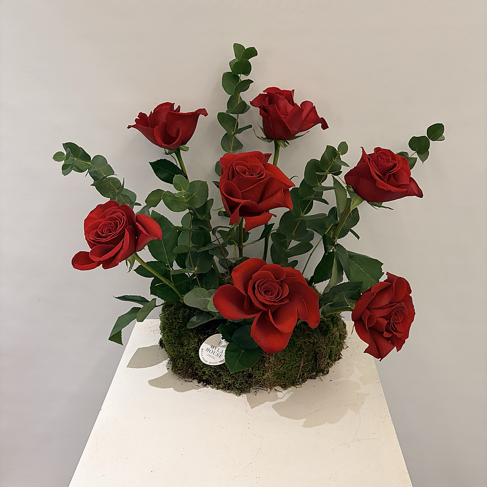 تنسيق أحمر كلاسيكي