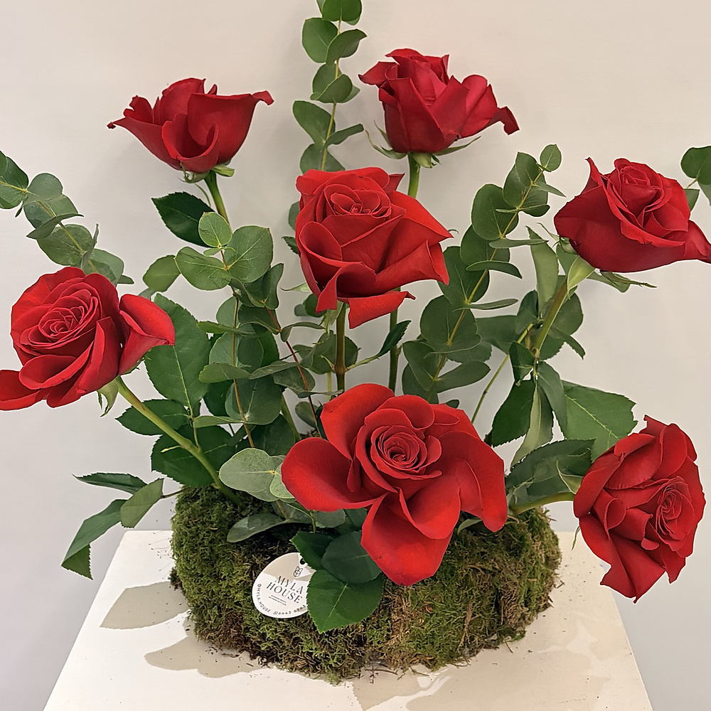 تنسيق أحمر كلاسيكي