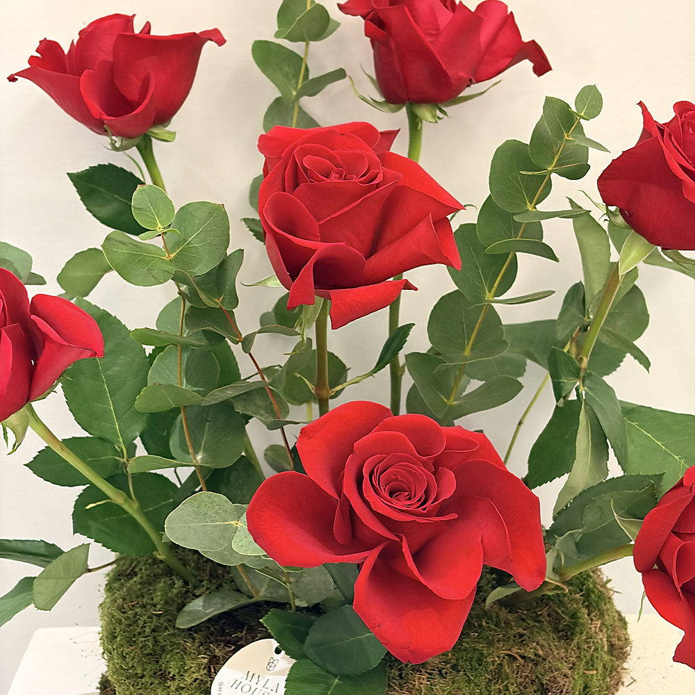 تنسيق أحمر كلاسيكي