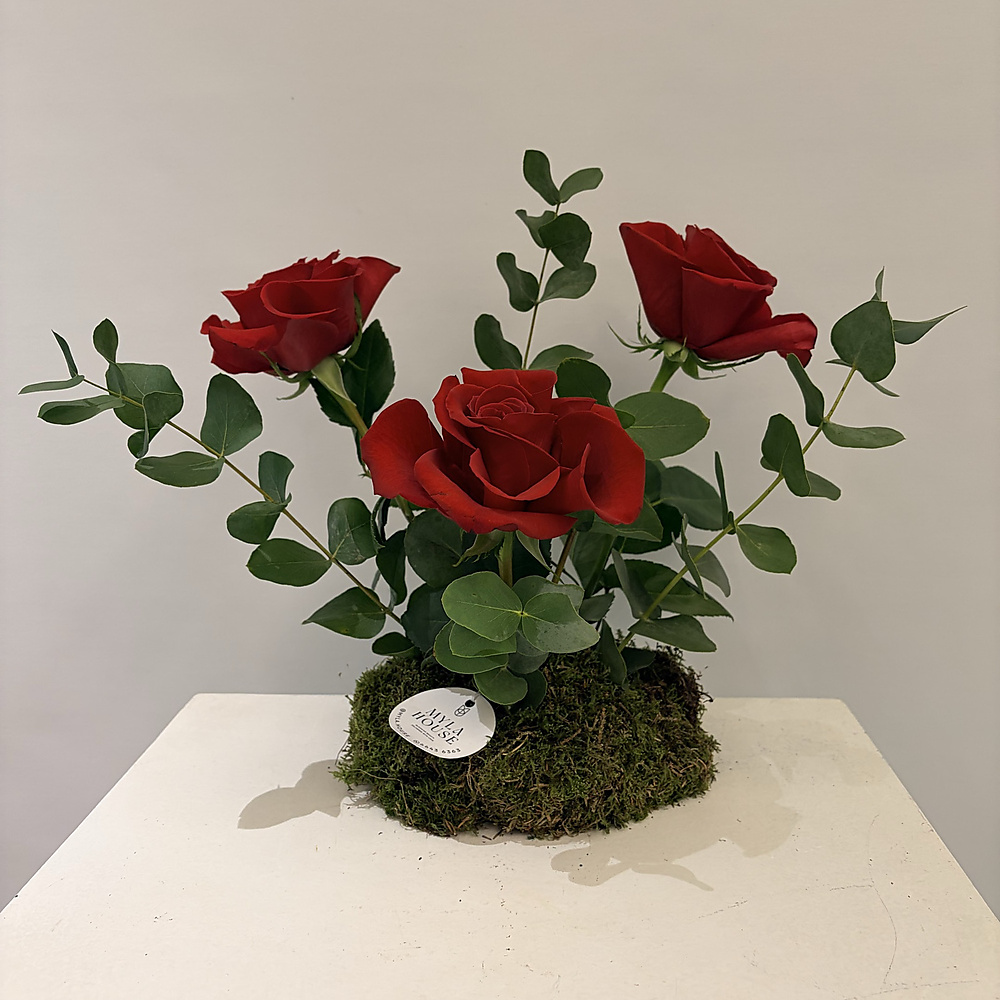 تنسيق أحمر كلاسيكي صغير