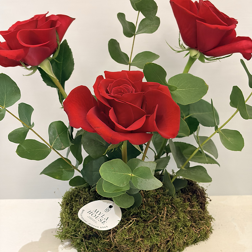 تنسيق أحمر كلاسيكي صغير