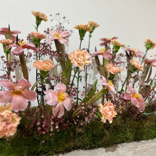 تناغم خوخي - رقم 2082