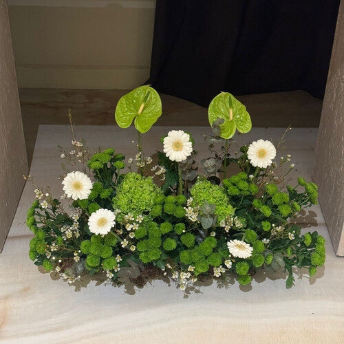 نسمة خضراء 70 سم - رقم 2096