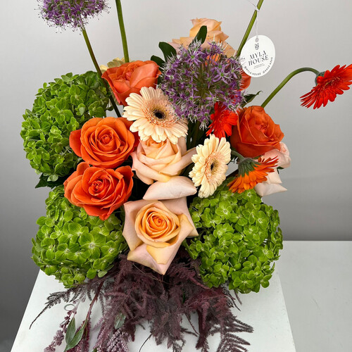 وهج خريفي - رقم 2117