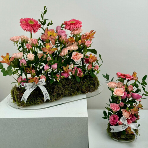 لمسة بهجة ميني - رقم 2262