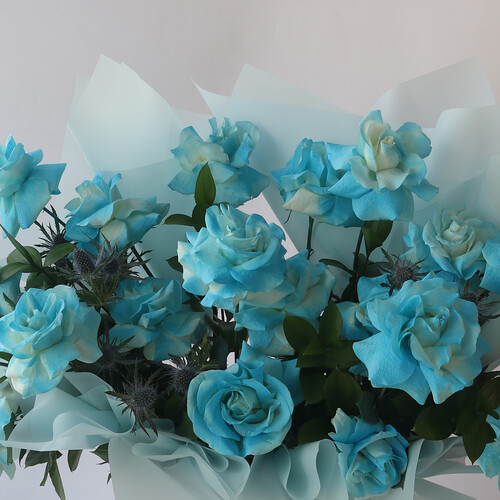 ظلال زرقاء - رقم 3087